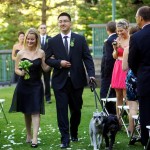 Banff Wedding Photographer | The Rimrock Hotel | Ceremony, walking dogs down isle