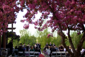 Christine & Peter Valley Ridge Golf Course wedding | Calgary Wedding Photography | Ceremony under a large tree