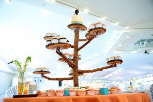 Calgary wedding photographer | Spruce Meadows wedding photos | Orange and teal with wooden cupcake tower tree