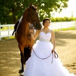 Calgary wedding photographer | Spruce Meadows wedding photos | Bride posing with a horse outside, under a tree in front of a white fence